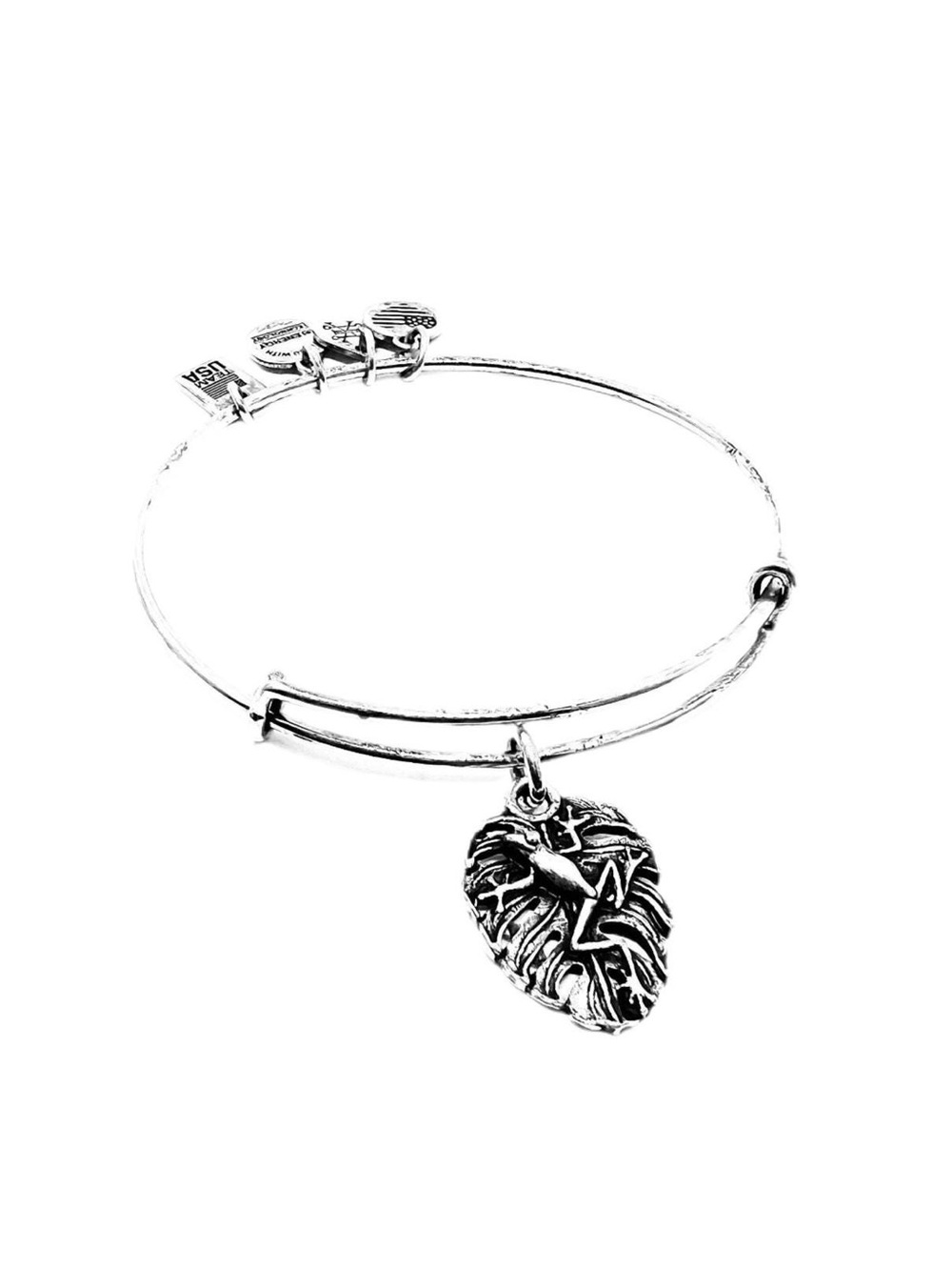 NWT! Alex and Ani Frog Bracelet - Silver